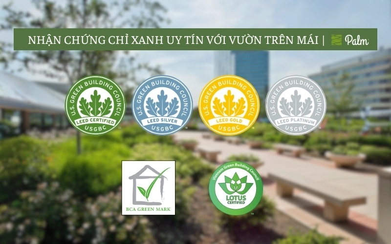 Vườn trên mái là gì? 11 Lợi ích nâng tầm giá trị căn nhà của bạn